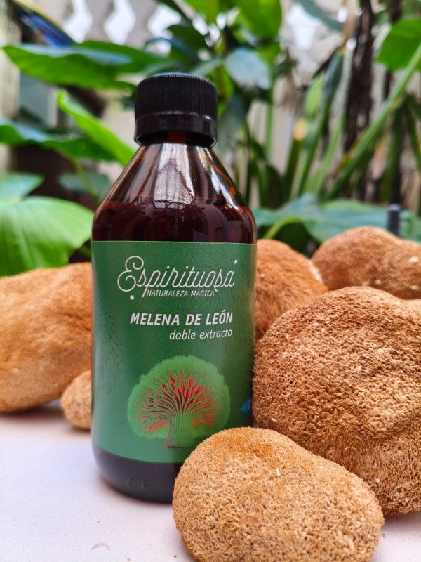 Producto - Extracto de Melena de León 250ml