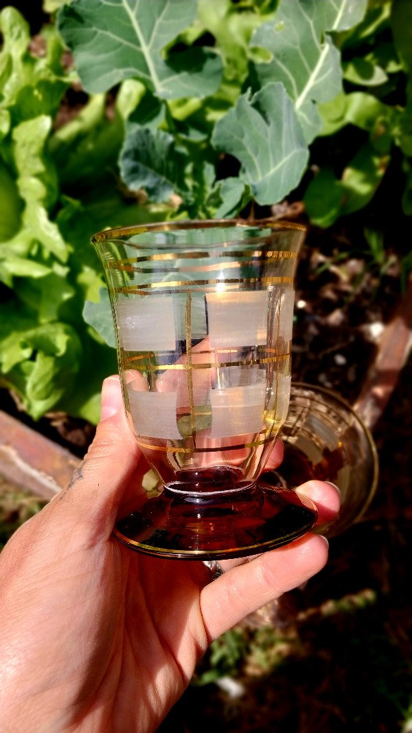 Producto - Copas Licor