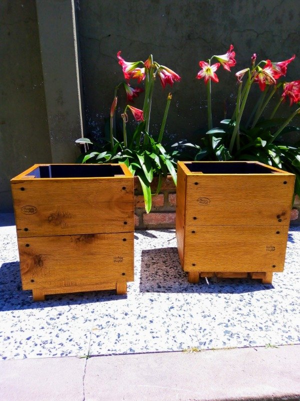 Producto - Maceteros (por pedido)