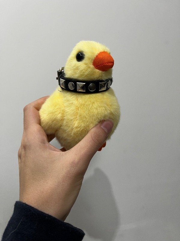 Producto - Pollito punk