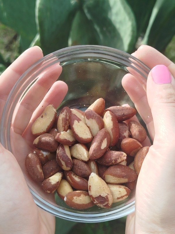 Producto - Nueces de Brasil o Castañas de Pará 100grs