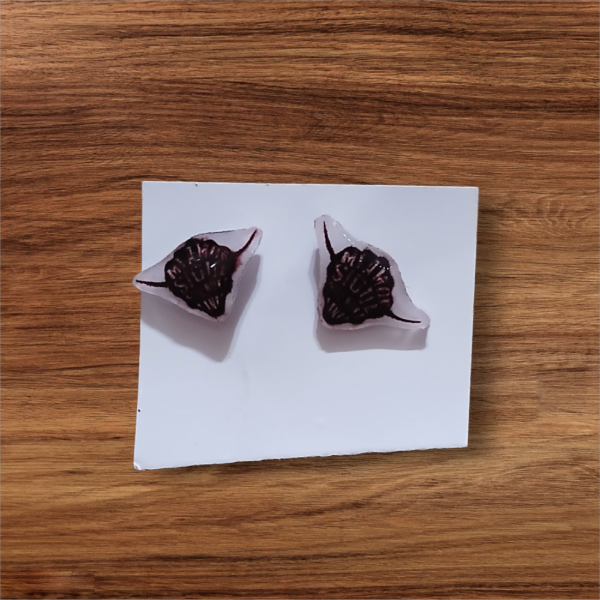 Producto - Arito los piojos 6