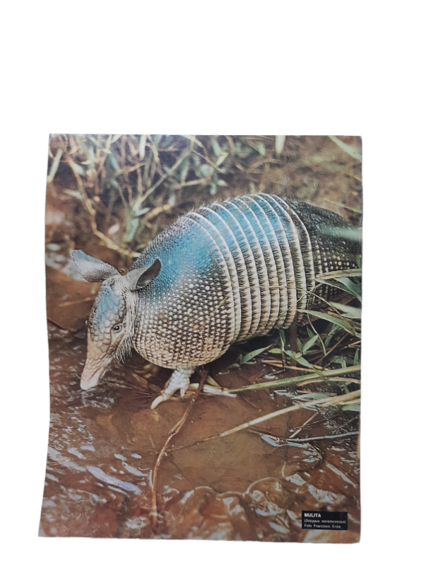 Miniatura de producto - 7