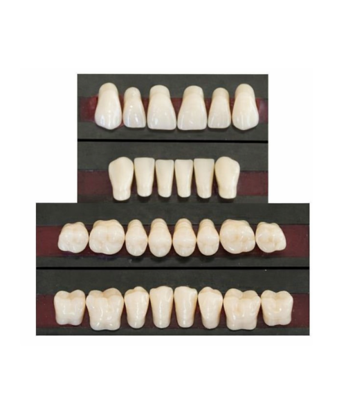 Producto - Dientes de 2 capas