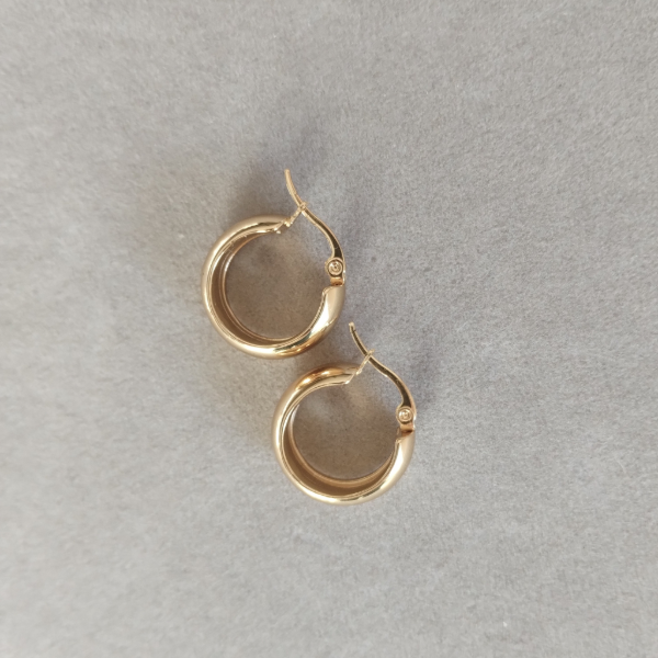 Producto - Aros Alexia