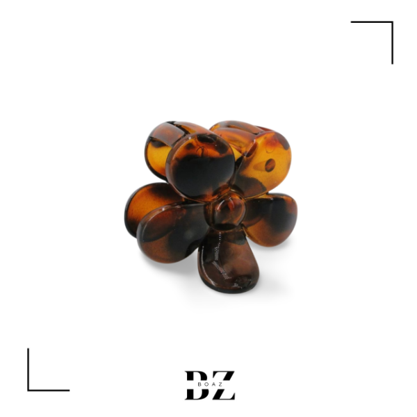 Producto - SET DE 1 BROCHE Y 4 COLITAS EN CARD COLOR CAREY - 2013-5