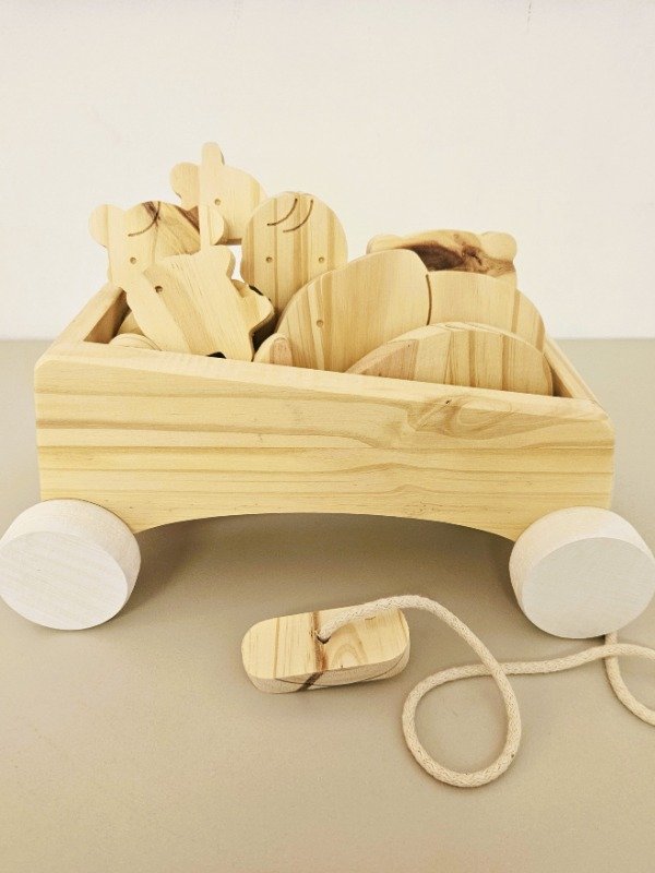 Producto - CARRO DE PASEO