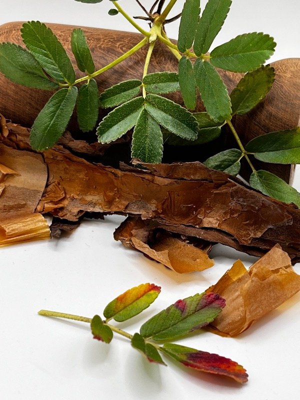Producto - Hoja 1 Tabaquillo - 6