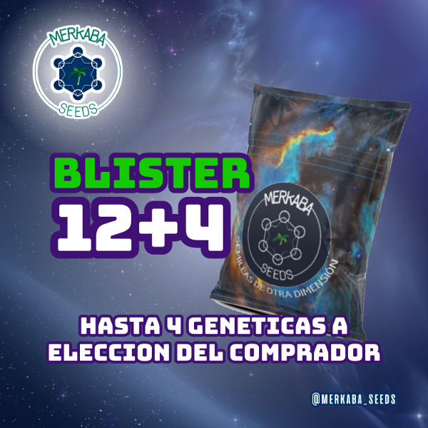 Producto - Blister 12 + 4