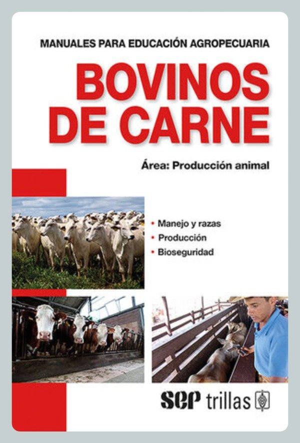 Producto - Bovinos de Carne - Producción Animal