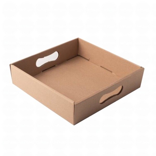 Producto - BANDEJA DE DESAYUNO MICRO 30 X 30 X 6CM SIN TAPA