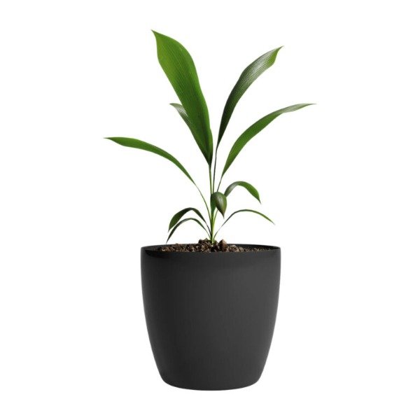 Producto - Maceta Premium Plastico 18cm Negreo