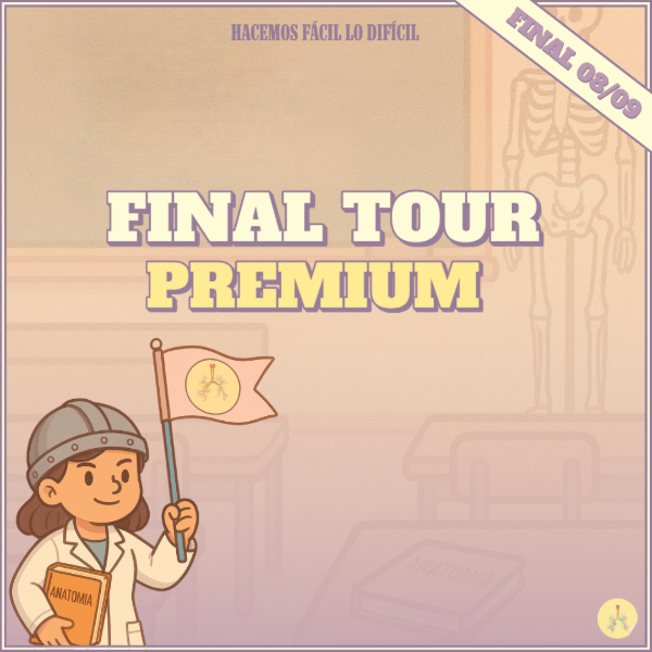 Producto - Final TOUR PREMIUM