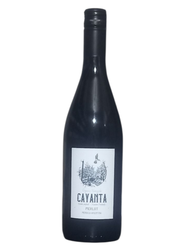 Producto - Cayanta - Merlot 2024 Organico
