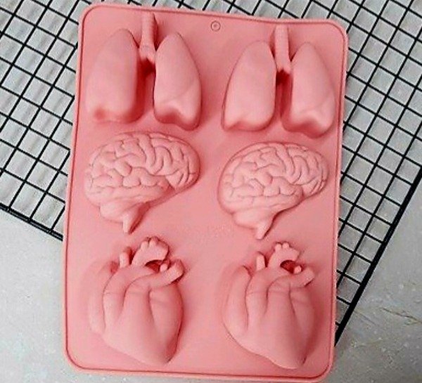 Producto - Molde corazon / cerebro /pulmon