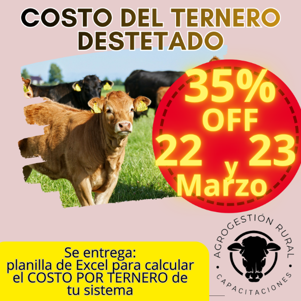 Producto - Taller Online: Costo del Ternero