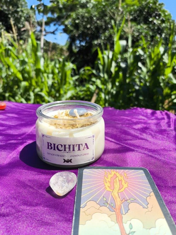 Producto - vela BICHITA - concentración