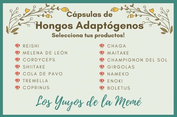 Producto - Hongos adaptógenos en cápsulas: Reishi, Melena de león, Cordyceps, Tremella ETC