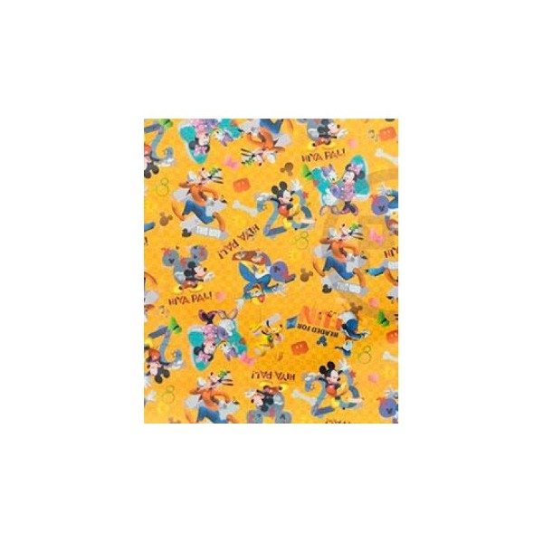 Producto - PAPEL FORRO FANTASIA PLASTIFICADO - 3