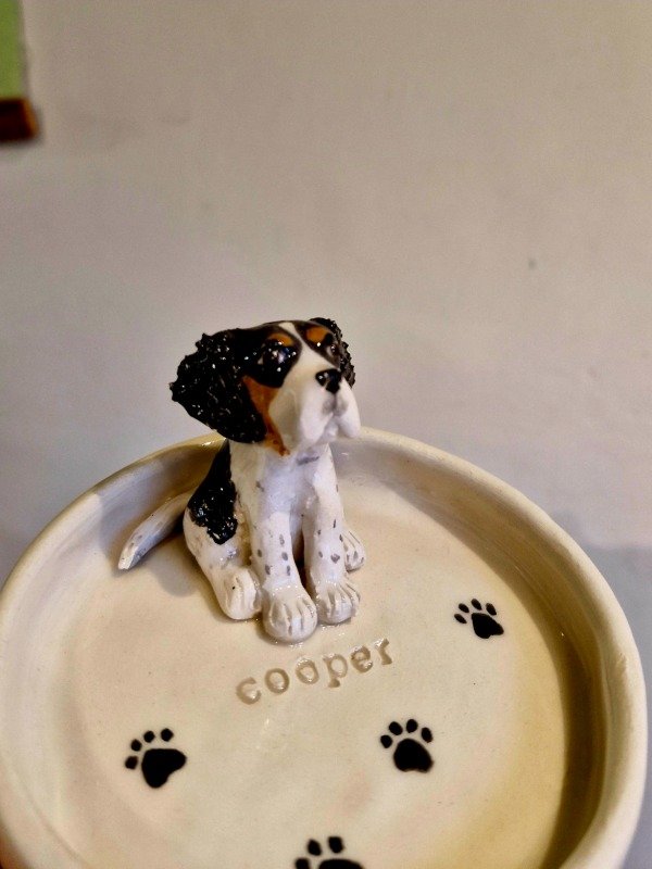 Producto - Plato de animales (personalizado)