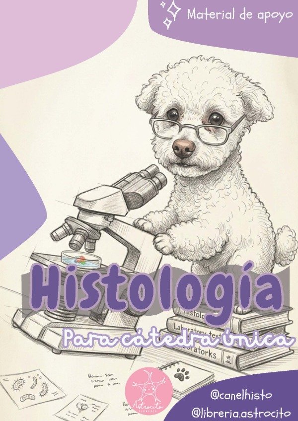 Producto - Histología - CanelHisto