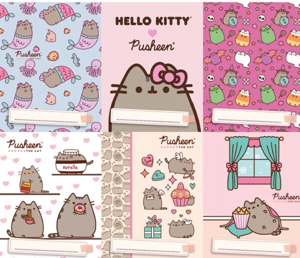 Producto - separador PUSHEN x6 NUM 3