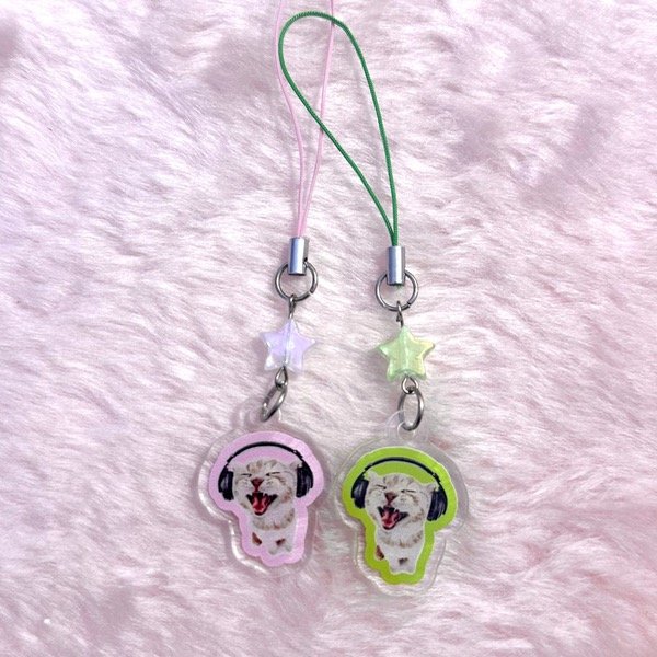 Producto - Charm Music Cat