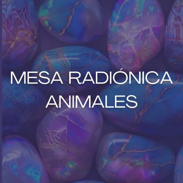 Producto - Mesa radiónica animales