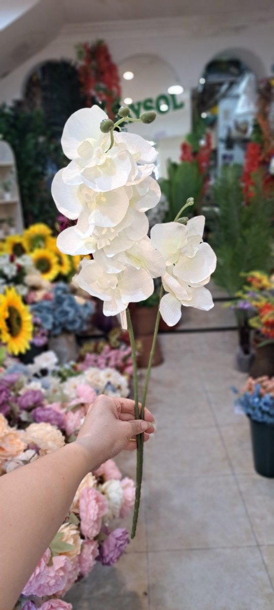 Producto - VARA DE ORQUIDEA DOBLE