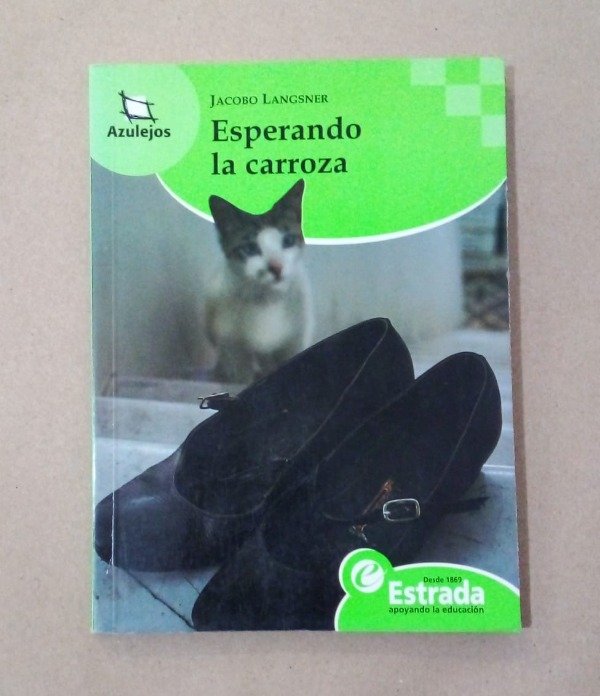 Producto - Esperando la carroza - Jacobo Langsner - Estrada 2009 - Azulejos #38