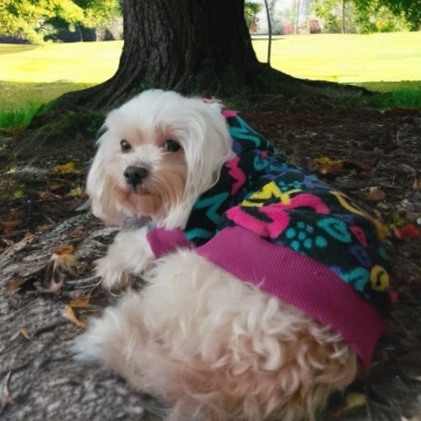 Miniatura de producto - 4