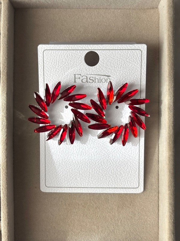 Producto - Aros zaira red