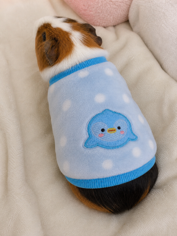 Producto - Ponchito celeste