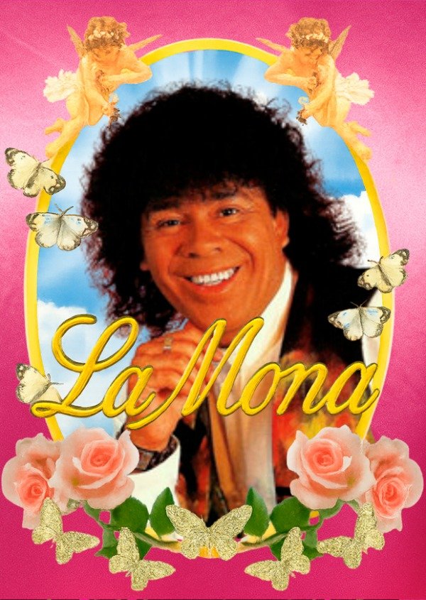 Producto - La Mona cutie