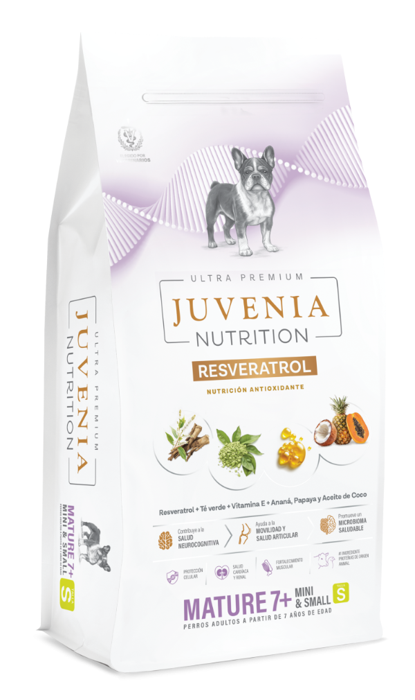 Producto - Juvenia Perro Senior Raza Pequeña 1 Kg - 0
