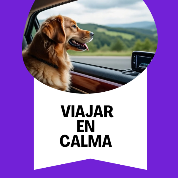 Producto - Viajar en Calma