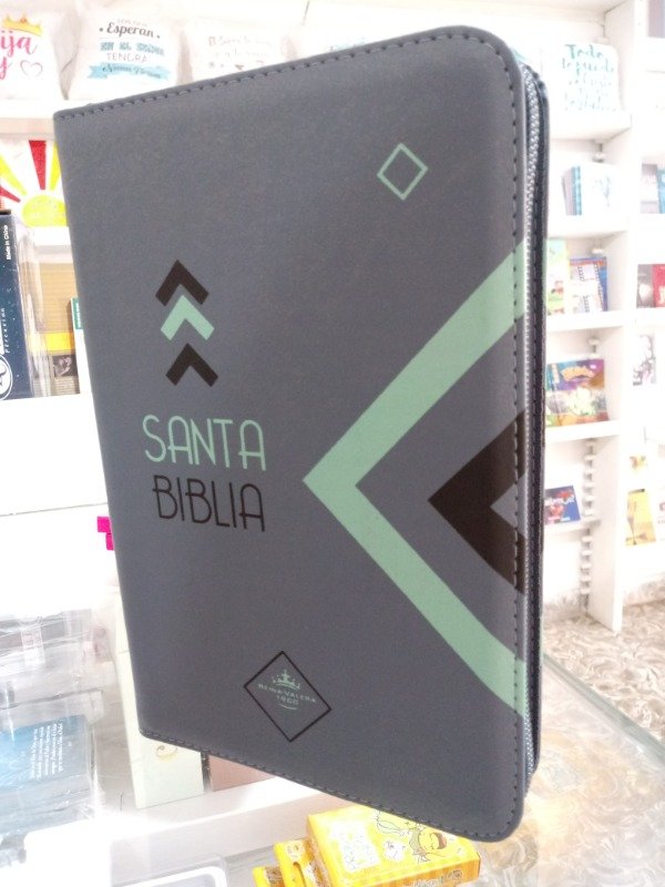 Producto - Biblia Letras Grandes RV1960 GRIS