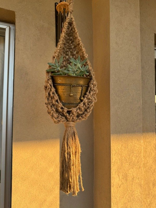 Producto - Nido Aplenio