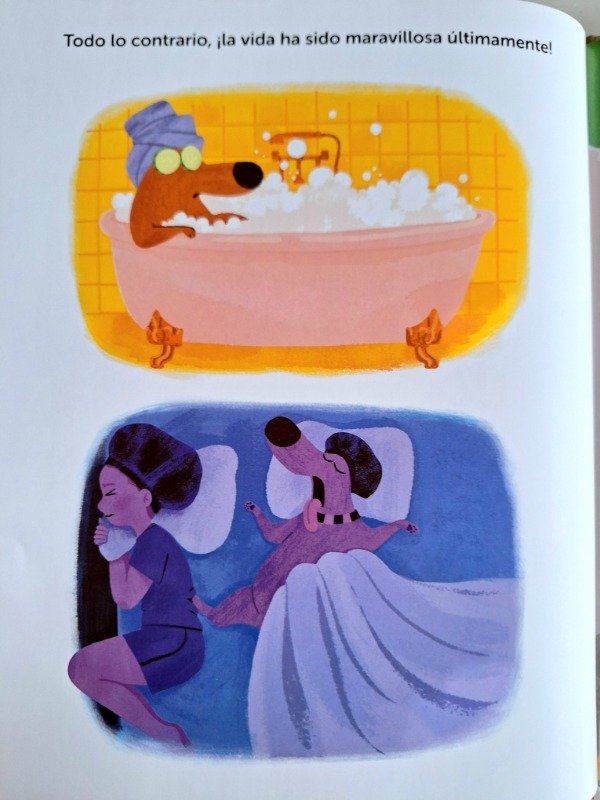Producto - No buscado - 5
