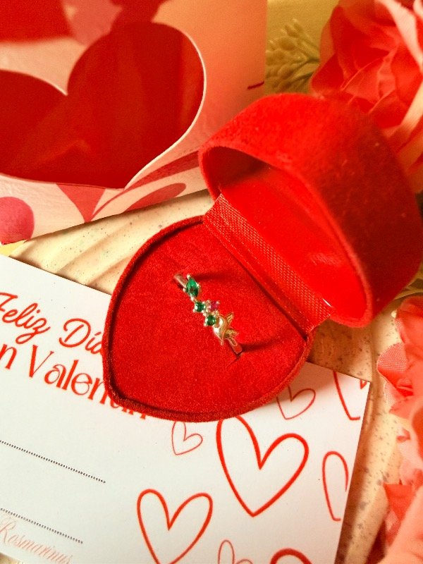 Producto - Anillo Pajarito y circonias (Plata 925 )