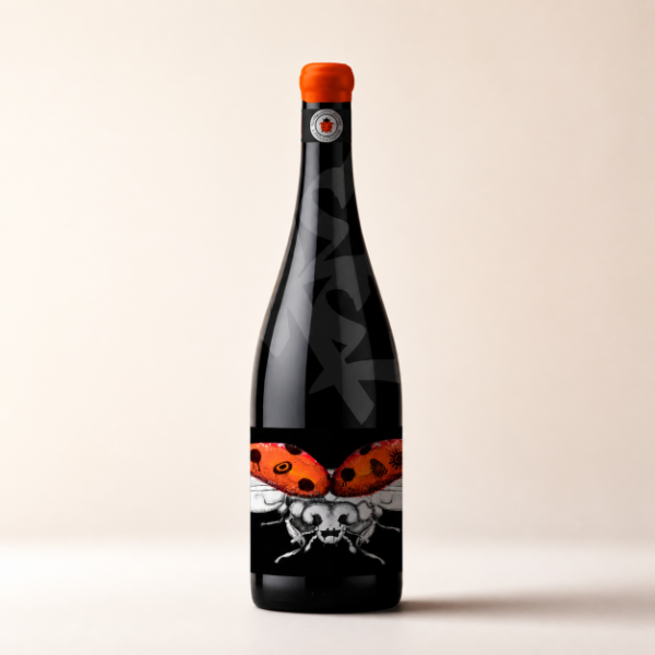 Producto - CONSCIENTEMENTE VITICULTORES - Cabernet Franc (2023)