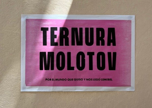 Producto - Afiche TERNURA MOLOTOV