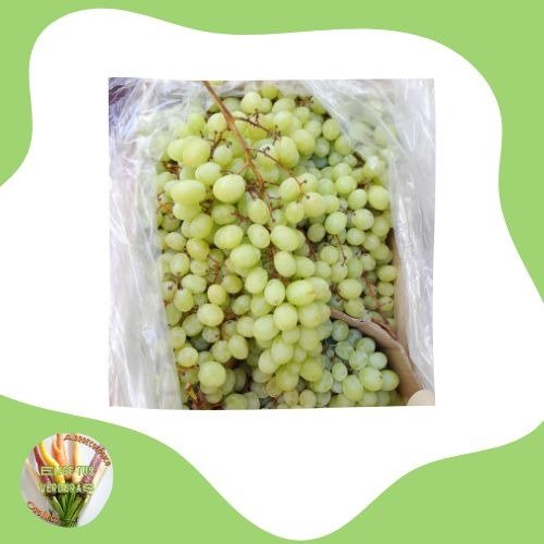 Producto - Uvas blancas