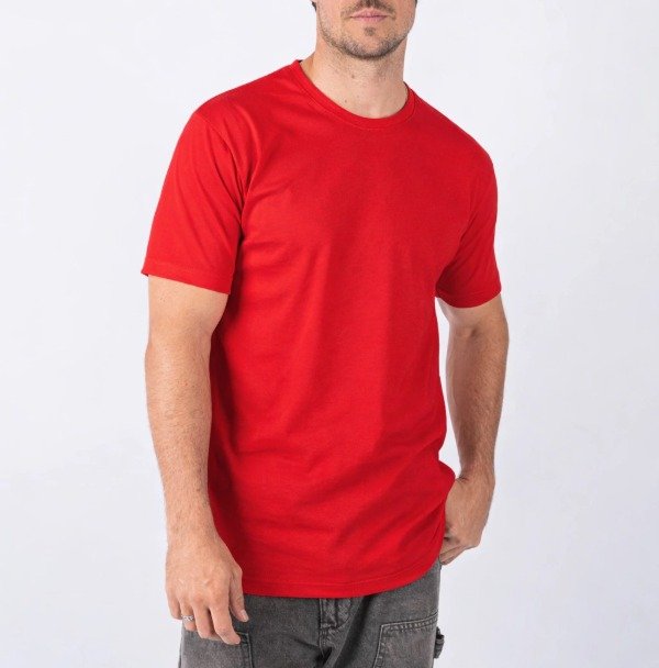 Producto - REMERA ALGODON ULTRA PEINADO 20.1 - 2