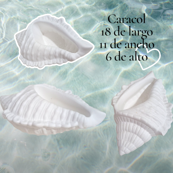 Producto - Caracol grande