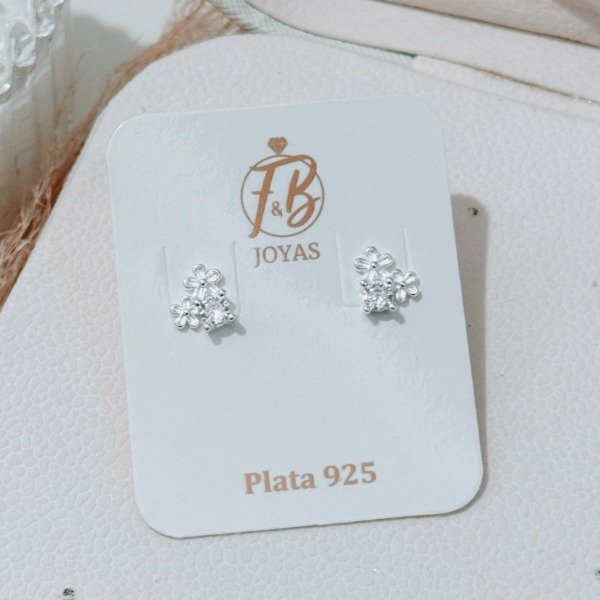 Producto - Aros Pasantes Neila Plata 925