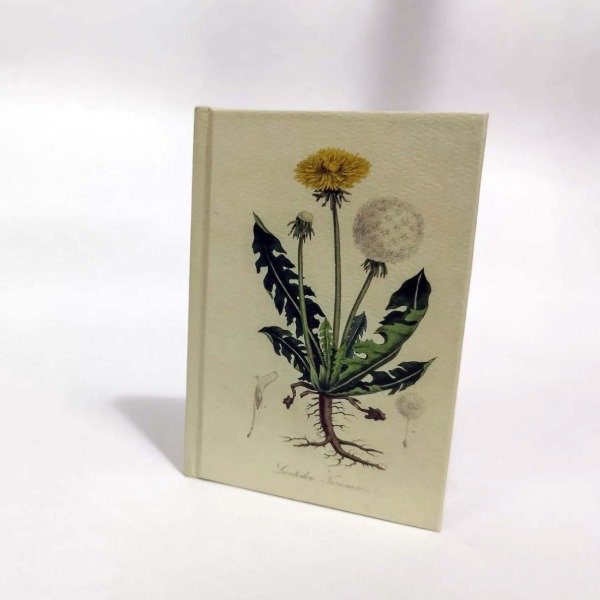 Producto - MINI COMPENDIOS PLANTITAS