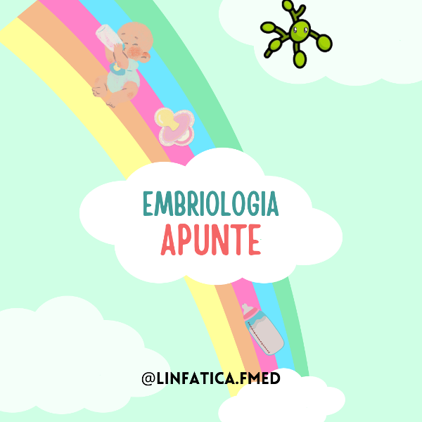 Producto - Embriologia VIRTUAL