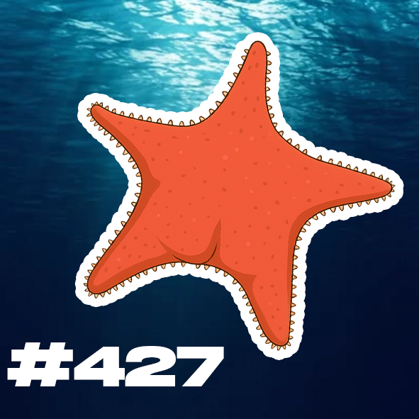 Producto - Culito #427 Estrella culona