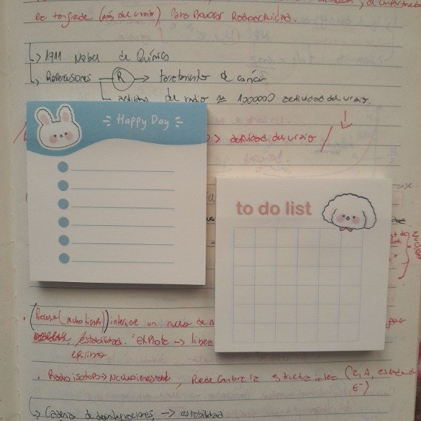 Producto - Memos adhesivos "to do list"